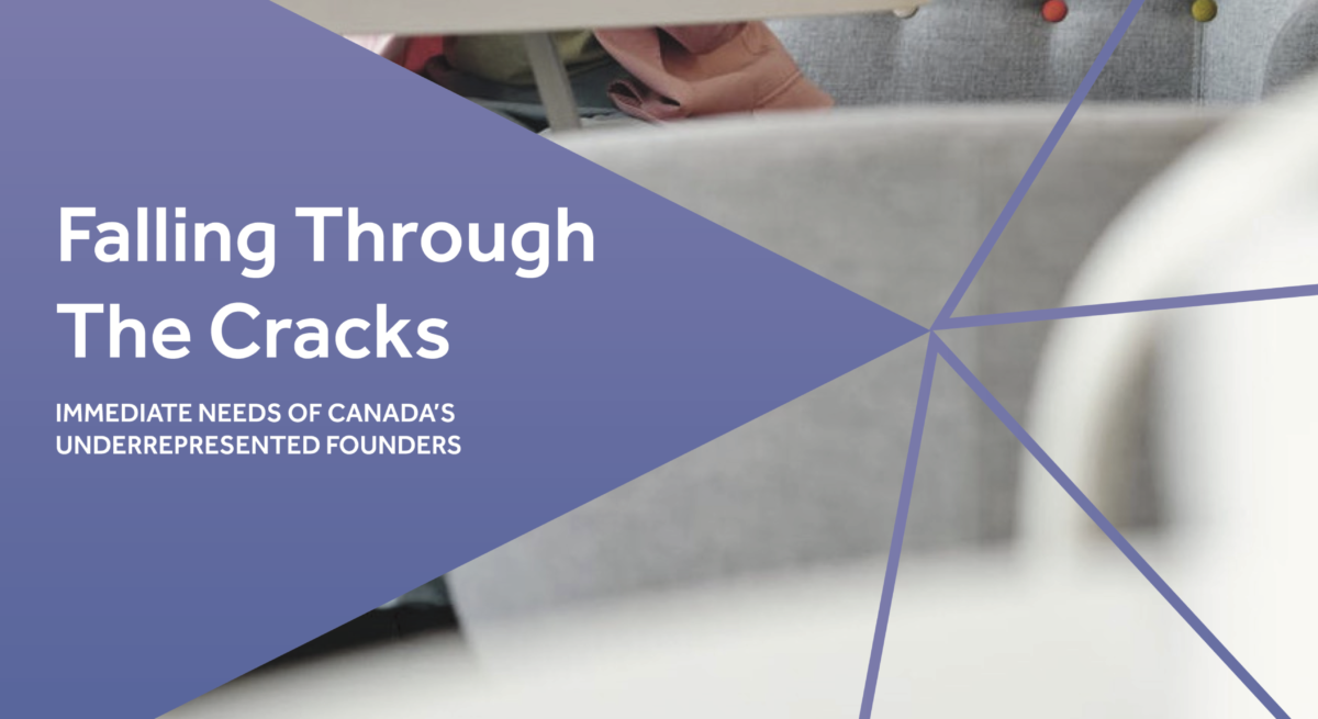 Falling through the Cracks report cover page